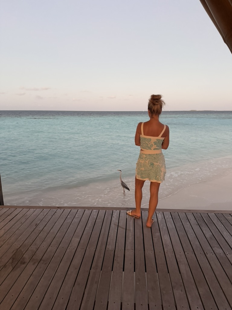 The beach, just beyond the terrace.